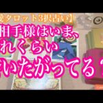 お相手は今どれくらい会いたがってる？恋愛タロット3択占いでリーディングしました♩バランガン西原さゆり