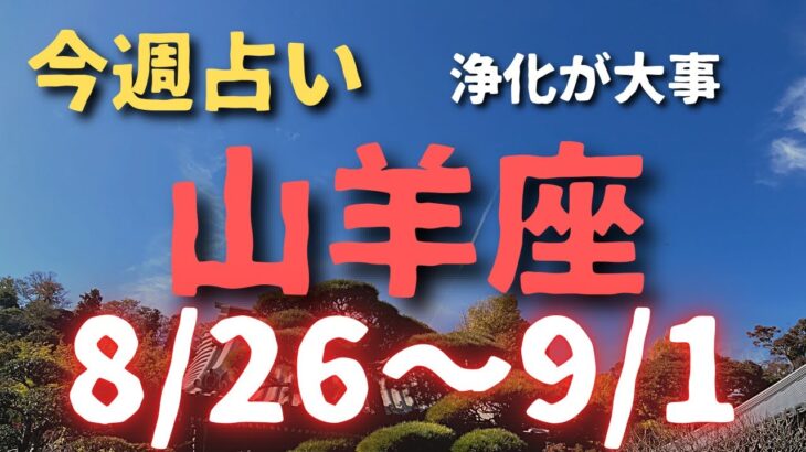 【山羊座】今週占い🔮8/26〜9/1まで（浄化して循環✨✨）小話付き