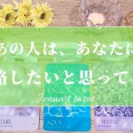 辛口あり😣🙏ご注意ください⚠️【恋愛❤️】あの人は…あなたに連絡したいと思ってる？【タロット🔮オラクルカード】片思い・復縁・複雑恋愛・音信不通・疎遠・ブロック・冷却期間・あの人の気持ち・本音