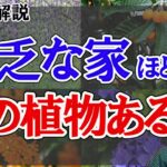 霊を呼んで、貧乏になった家に高確率であった植物。植物の声を風水で解説。幸運の木。縁起の悪い木。生霊と死霊。