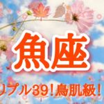 【#魚座♓️さんの※9月運勢※】全体！仕事！恋愛！転機予報！【トリプル39！鳥肌級🫶🏻】