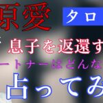 【透視タロット】福原愛さんが息子を返還しない真相に迫る！何故、返還を無視する？息子と娘はどちらの親と暮らしたい？現パートナーは、返還無視に賛成？法的措置で返還せざるを得ない？〜占ってみた〜