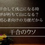 甲己は干合は変化すると戊己に代わる理由はSNSではウソばかり