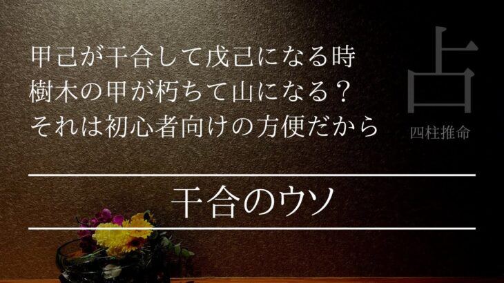 甲己は干合は変化すると戊己に代わる理由はSNSではウソばかり