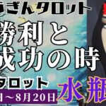 水瓶座♒️2023年8月14日の週♒️大勝利🌈と大成功😊心からやりたい事🍀で前進‼️