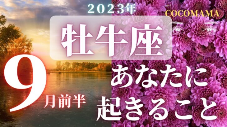 牡牛座♉️ 【９月あなたに起きること🌈】2023　ココママの個人鑑定級タロット占い🔮ラッキーアイテム