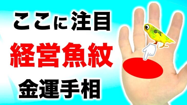 【手相】１０００万人に１人のフィッシュ手相【切り抜き】