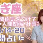 やぎ座♑️週間占い8/14-20🔮宇宙からのメッセージと星座別のポイント