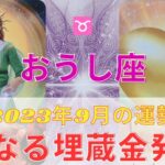 牡牛座さん⭐️♉️奇跡の9月⭐️内なる埋蔵金発掘の冒険が始まる⭐️あなたの応援団📣⭐️【タロット】