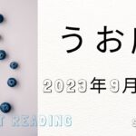 ♓魚座♓2023年9月1日～15日までの運勢【タロット占い】