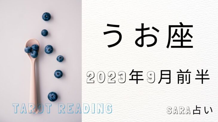 ♓魚座♓2023年9月1日～15日までの運勢【タロット占い】