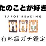 【タロット占い・再アップ】あなたのことが好きな人はどんな人？🦄✨✨その人の外見や内面、あなたへの気持ちや二人の未来がどうなるかなど深堀します🍀✨✨【当たる３択占い】