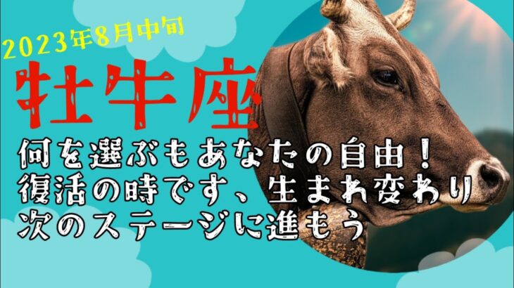 8月中旬牡牛座♉何を選んでもあなたの自由！復活の時！生まれ変わり次のステージに進んでいきましょう