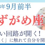 【みずがめ座】新しい回路が開く✨「遠く」に触れて自分を開拓できるとき／占星術でみる9月前半の運勢と意識してほしいこと