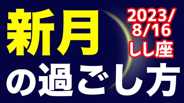 できることを認識してスキルアップ！2023/8/16 しし座新月のオススメの過ごし方＆お願い事を解説！【獅子座】