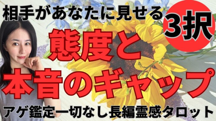 【霊感タロット🔯長め鑑定】態度と本音のギャップ💥あの人の気持ち❤️ツインレイ/ソウルメイト/運命の相手/複雑恋愛/曖昧な関係/復縁/片思い/音信不通/ブロック解除/恋愛/結婚/占い/リーディング/霊視