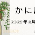 ♋蟹座♋2023年8月16日～31日までの運勢【タロット占い】