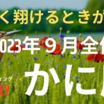 蟹座さん　今は辛くても、未来は明るいですよ。入念に準備を整えて、大きくはばたきましょう　2023年9月全体運　タロット＆オラクルリーディング　#かに座　#2023年9月　#タロット