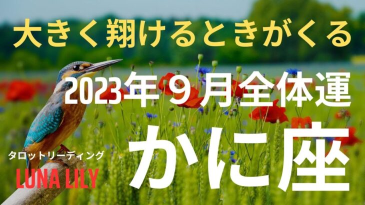 蟹座さん　今は辛くても、未来は明るいですよ。入念に準備を整えて、大きくはばたきましょう　2023年9月全体運　タロット＆オラクルリーディング　#かに座　#2023年9月　#タロット