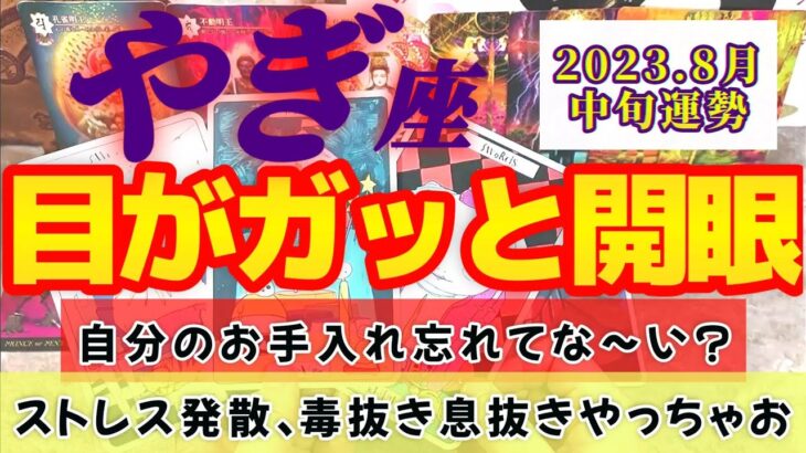 【山羊座♑8月中旬運勢】開眼のチャンスは意外なところにある！！　あえてのストレス発散、からの〜毒抜き息抜き♪　自分お手入れやってみて♡　✡️4択で📬付き✡️　❨タロット占い❩