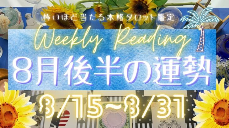 【8月16日~8月31日まで】あなたの運勢 Monthly Reading【2023年】忖度一切無し、タロット仕事/恋愛/金運/健康【本格辛口】【有料鑑定級🌻】