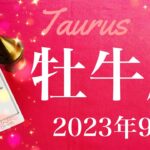 【おうし座】2023年9月♎️終わりと始まり！長かったトンネルの先、運が味方をする、運命が回り始めていくとき