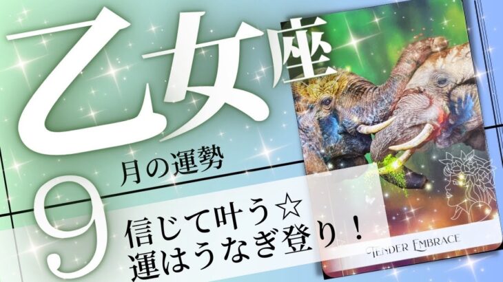 乙女座♍️2023年9月の運勢🌈運命を切り開く✨✨道は必ず幸運に続く💖癒しと気付きのタロット占い🔮