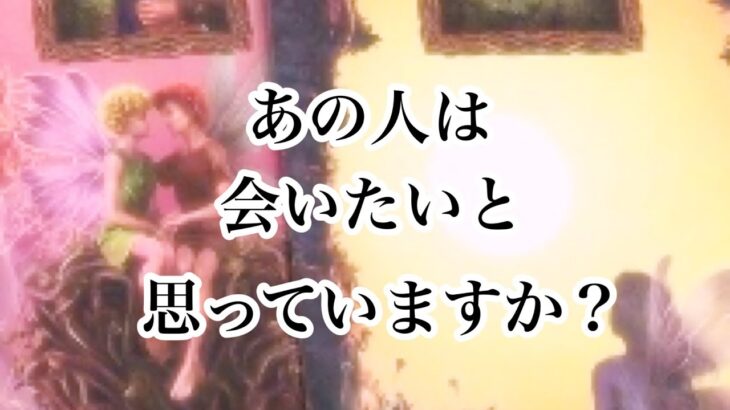 あの人は会いたいと思っていますか？【恋愛💖タロット】