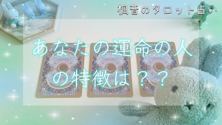 【特徴・出会い・その後😳】あなたの運命の人はどんな人？🤍タロット占い/恋愛占い