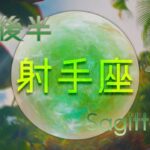 【8月後半✴︎射手座】自分のエネルギーをしっかり守る！！癒しの時🌿✴︎🫧🌙良い結果が出るお仕事運！爆速！