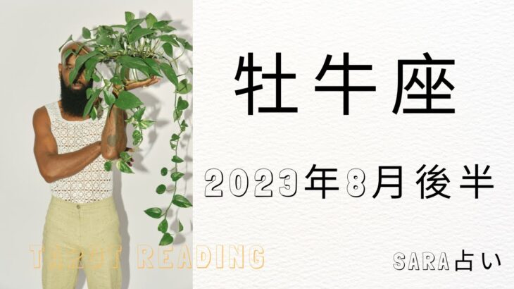 ♉牡牛座♉2023年8月16日～31日までの運勢【タロット】