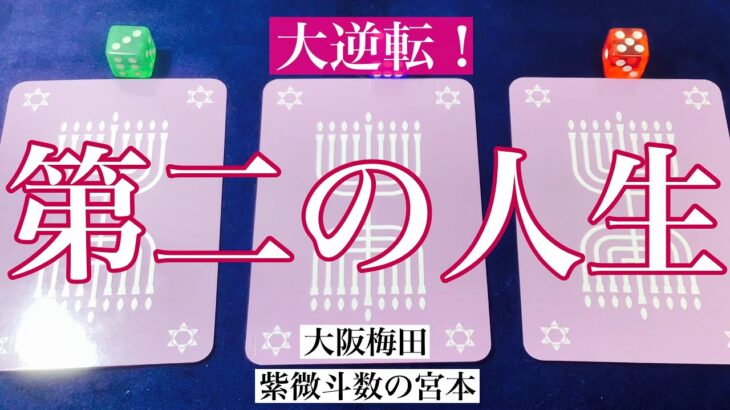 【大阪梅田】あなたの第二の人生を占いました！