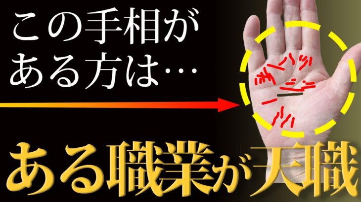 【手相占い】この手相がある方はある職業が天職！【手相鑑定 vol.226】