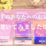 はぁ…たまらん🥺💓【恋愛❤️】お相手のあなたへの気持ち…どうしていきたいと思ってる？【タロット🔮オラクルカード】片思い・復縁・複雑恋愛・音信不通・疎遠・あの人の気持ち・本音・願望・片想い