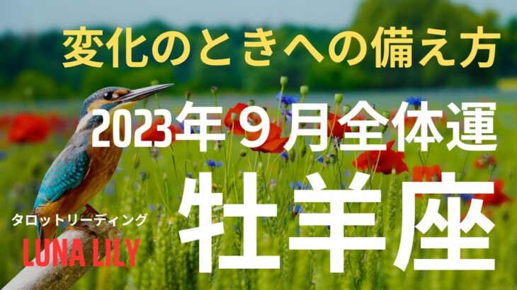 牡羊座さん　終わりがあれば、始まりもある。交差のとき　2023年9月全体運　タロット＆オラクルリーディング　#おひつじ座　#タロット  #2023年9月