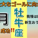 最高潮の運気到来‼️牡牛座♉️9月の運勢🌟タロットカードリーディング #占い #タロットカード #おうし座の運勢