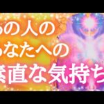 ✨あの人のあなたへの素直な気持ち✨【タロット🔮オラクルカードリーディング】恋愛占い