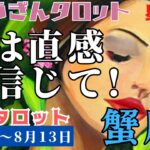 蟹座♋️2023年8月7日の週♋️今は直感🍀を信じて‼️進む先が見えてくる😊