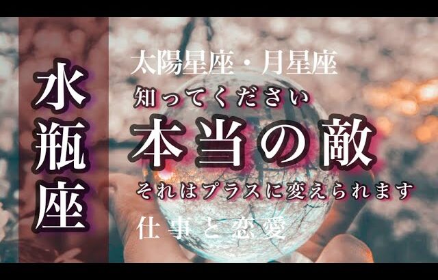 ♒️水瓶座🌙8/15~9/15🌟本当に必要なものが届きました。希望が確信に変わっていきます。🌟しあわせになる力を引きだすタロットセラピー