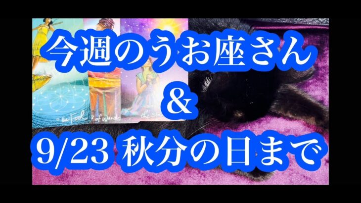 良くなるのはこれから！今週のうお座さん & 9/23 秋分の日まで。It’s about to get better! Pisces  until the 9/23 Autumn Equinox.