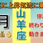 選ばれし者‼️一気にステージアップ⤴️山羊座♑️9月の運勢🌟タロットカードリーディング🌟 #占い #タロットカード #やぎ座の運勢