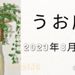 ♓魚座♓2023年8月16日～31日までの運勢【タロット占い】