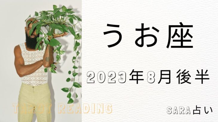 ♓魚座♓2023年8月16日～31日までの運勢【タロット占い】