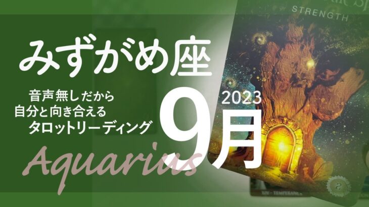 【みずがめ座】力強い大転換期★2023年9月★タロットリーディング【音声なし】【水瓶座】