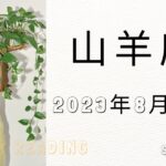 ♑山羊座♑2023年8月16日～31日までの運勢【タロット占い】