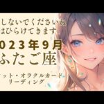 【ふたご座】流すなら、嬉し涙を🥹♊双子座♊タロット オラクルカード リーディング【９月の占い】