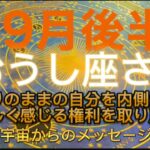 おうし座⭐️9月後半⭐️“  ありのままの自分を内側から美しく感じる権利を取り戻す〜”⭐️宇宙からのメッセージ ⭐️シリアン・スターシード・タロット⭐️Taurus ♉️