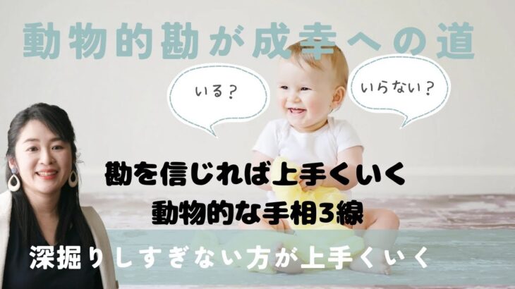 【手相占い】勘を信じれば上手くいく。動物的な手相3線