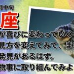 9月中旬魚座♓️悲しみが喜びに変わっていく時。物の見方を少し変えてみて、まだ新たな発見があるはず。真摯に物事に取り組んでみよう。