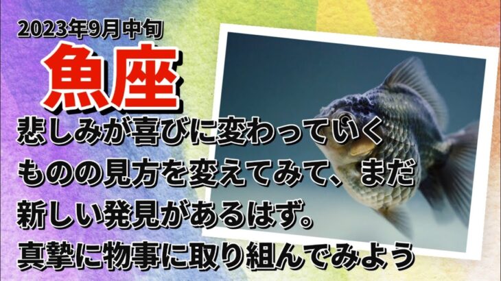 9月中旬魚座♓️悲しみが喜びに変わっていく時。物の見方を少し変えてみて、まだ新たな発見があるはず。真摯に物事に取り組んでみよう。